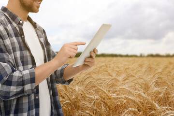Naklejka na ściany i meble Farmer with tablet computer in field, closeup. Harvesting season