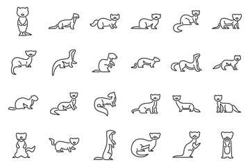 Fototapeta na wymiar Weasel icons set outline vector. Ermine animal. Cute domestic