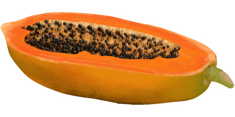 papaya isolated on white background