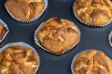 hot homemade cupcakes after cooking