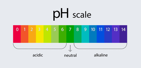 pH scale indicator chart. Acidic Alkaline measure. pH analysis chemical scale value test. Vector - obrazy, fototapety, plakaty