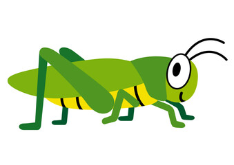 バッタ,虫,昆虫,動物,夏,子供,トノサマバッタ,おんぶばった,親子,親,７月,８月,保育園,幼稚園,小学生,小学校,子供向け,人物,おんぶ,ママ,お母さん,おやすみ,寝る,可愛い,春,夏休み,生物,虫取り,昆虫採集,生き物,採集,緑,節足動物,かわいい,秋,６月,イラスト,自然,ジャンプ