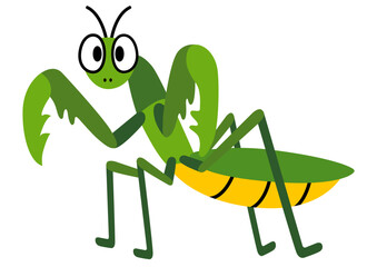 カマキリ,昆虫,虫,夏,動物,虫取り,夏休み,鎌,かまきり,緑,春,飼育,生き物,自然,生物,昆虫採集,７月,蟷螂,８月,かわいい,可愛い,挿絵,成虫,jpeg,png,イラスト,６月