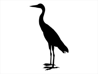 Obraz premium Egret silhouette vector art white background