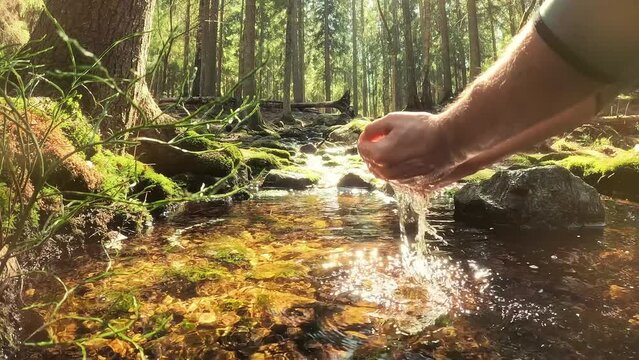 Man taking clear drinking water from a stream in forest. Close-up hand. Nuuksio National Park, Finland. Sunny summer day in forest. Beautiful spring water running in rocks.