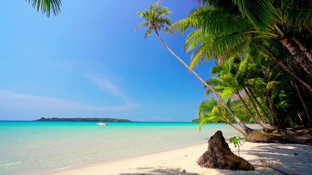Caribbean beach background. Sunny tropical beach. Hot afternoon on an empty beach. The best beaches in the world. Dominican Republic beaches.