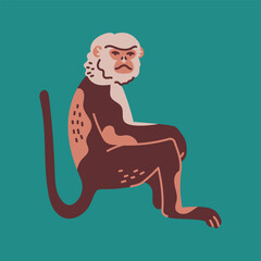 Hand drawn tonkin rhinoceros monkey color concept. Children's character.