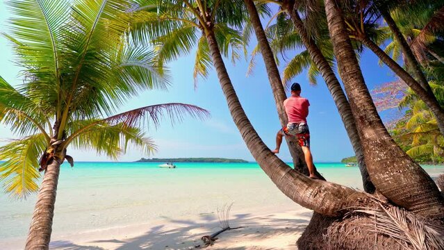 Travel people enjoy beautiful tropical beach Thailand with scenery palm tree above the ocean 4K