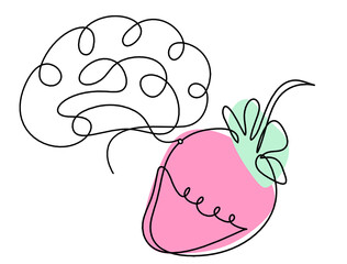 Drawing line of color strawberry and brain on the white