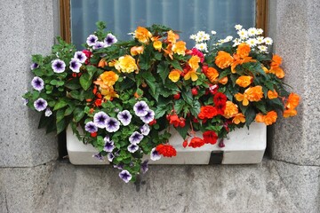 Colorful window box blooming flower bouquet on sill of stone building