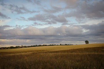 sunset over the field