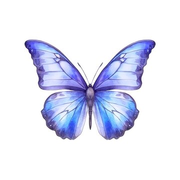 Beautiful light blue butterfly isolated on white background in watercolor style.