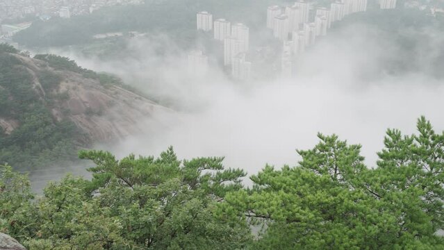 misty scenery of Bukhansan National Park in Seoul