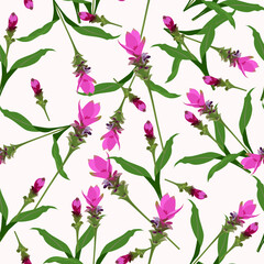 A seamless pattern of Siam tulip flowers. vector illustration. flower background.