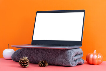 Blank screen laptop on table with minimal autumn or fall season decor, orange colors, seasonal business concept. Decorative ceramic pumpkins and open laptop still life