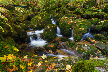 Wasserfall