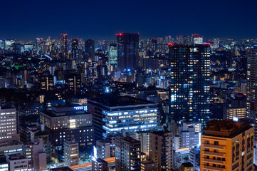 Fototapeta na wymiar 東京、夜のはとバスツアー