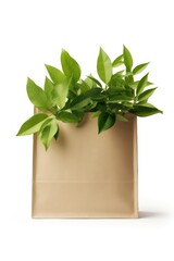 Eco friendly mock up of paper bag with leaves. Reduce reuse recycle, plastic free concept