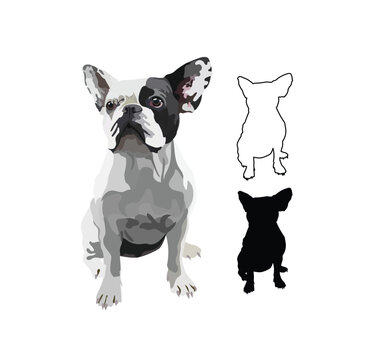 French Bulldog dog portrait. Sticker on a white background. Cute detailed bulldog Drawing. Cartoon style. Popular character. Black stroke, dog outlines. Black and White sitting bulldog silhouette.Flat