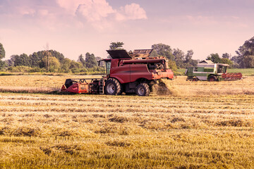 Two combine harvesters mow grain plants in the field