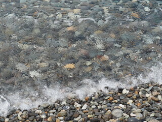 海　糸魚川　ヒスイ海岸