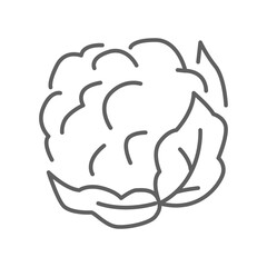 Cauliflower icon. Organic Vegetables logo Cabbage. vegetable and diet from the garden. Organic healthy food. Outline style. Editable stroke vector illustration design on white background. EPS 10