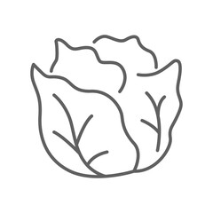 Cabbage icon. Green organic vegetable and food logo. vegetarian salad recipe. Fresh  leaves lettuce. Outline style pictogram Editable stroke. Vector illustration. Design on white background. EPS 10
