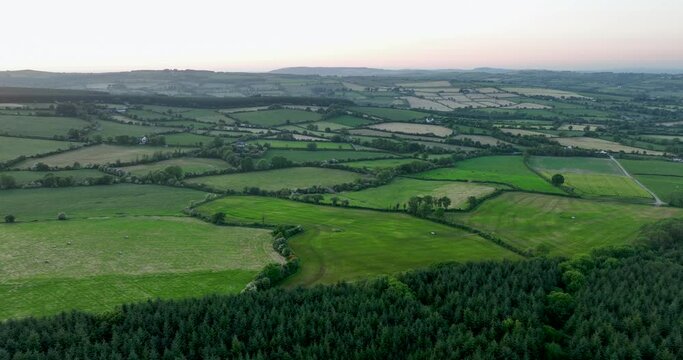 Green grass fields and trees. flying over farmland landscape 4k
