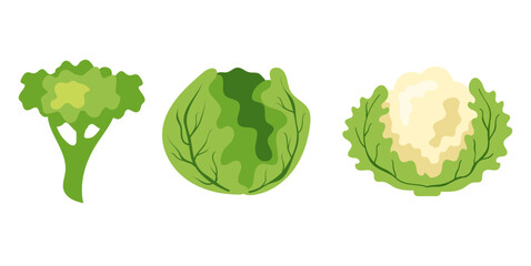 Broccoli cabbage lettuce isolated set. Vector flat graphic design illustration