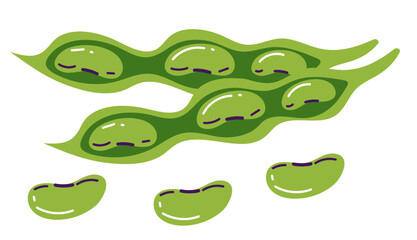 Bean plant soy pod green pea isolated set. Vector flat graphic design illustration