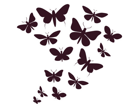 Butterfly silhouette flowing abstract flow concept. Vector flat graphic design illustration