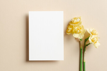 Greeting or invitation card mockup with daffodils flowers