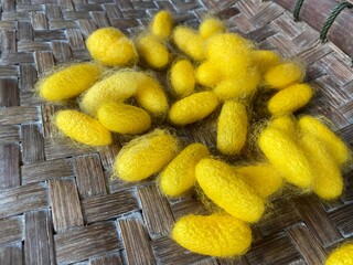 Golden yellow silk cocoon on a brown woven bamboo pattern background.