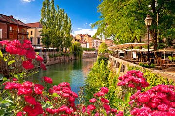 Ljubljana green riverfront promenade walkway summer view through roses