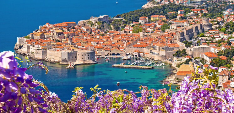 Historic town of Dubrovnik panoramic view through flowers