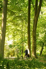 A picture clicked in The Netherlands
