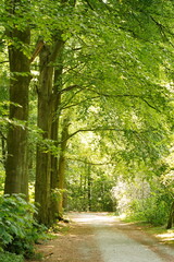 A picture clicked in The Netherlands
