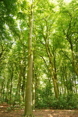 A picture clicked in The Netherlands
