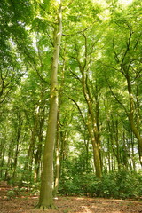 A picture clicked in The Netherlands
