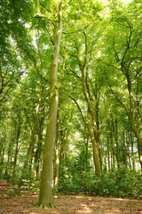 A picture clicked in The Netherlands
