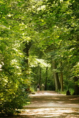 A picture clicked in The Netherlands
