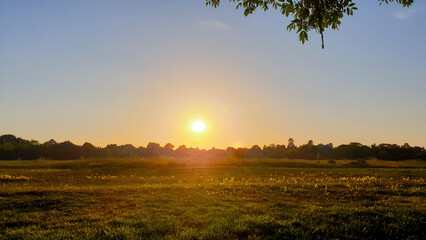setting sun over field in summer