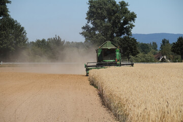 Fototapeta premium Mähdrescher