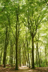 A picture clicked in The Netherlands

