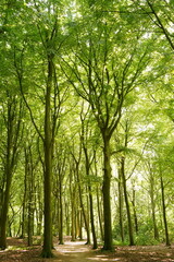 A picture clicked in The Netherlands
