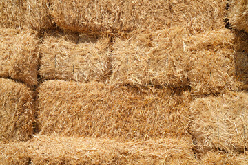 Stacked hay bales, close-up, full frame