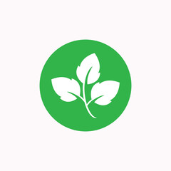 leaf creations, leaf logos, leaf illustrations 6