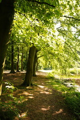 A picture clicked in The Netherlands