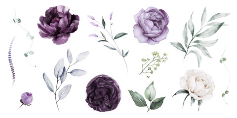 Watercolour floral illustration set. DIY violet purple blue flowers, green leaves elements collection - for bouquets, wreaths, wedding invitations, prints, fashion, birthday, postcards, greetings. - 648919660