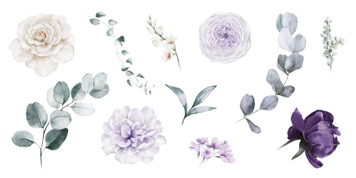 Veris Studio photos, images, assets | Adobe Stock